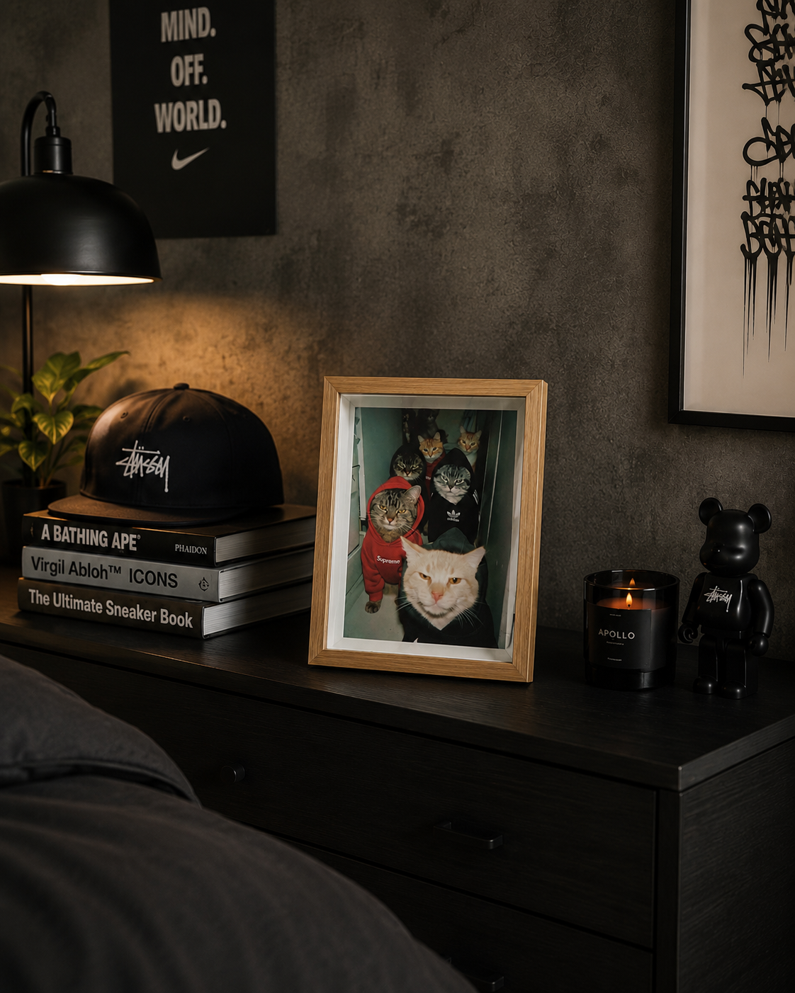 Cuadro Cat Gang Supreme Nike Adidas – Arte Urbano