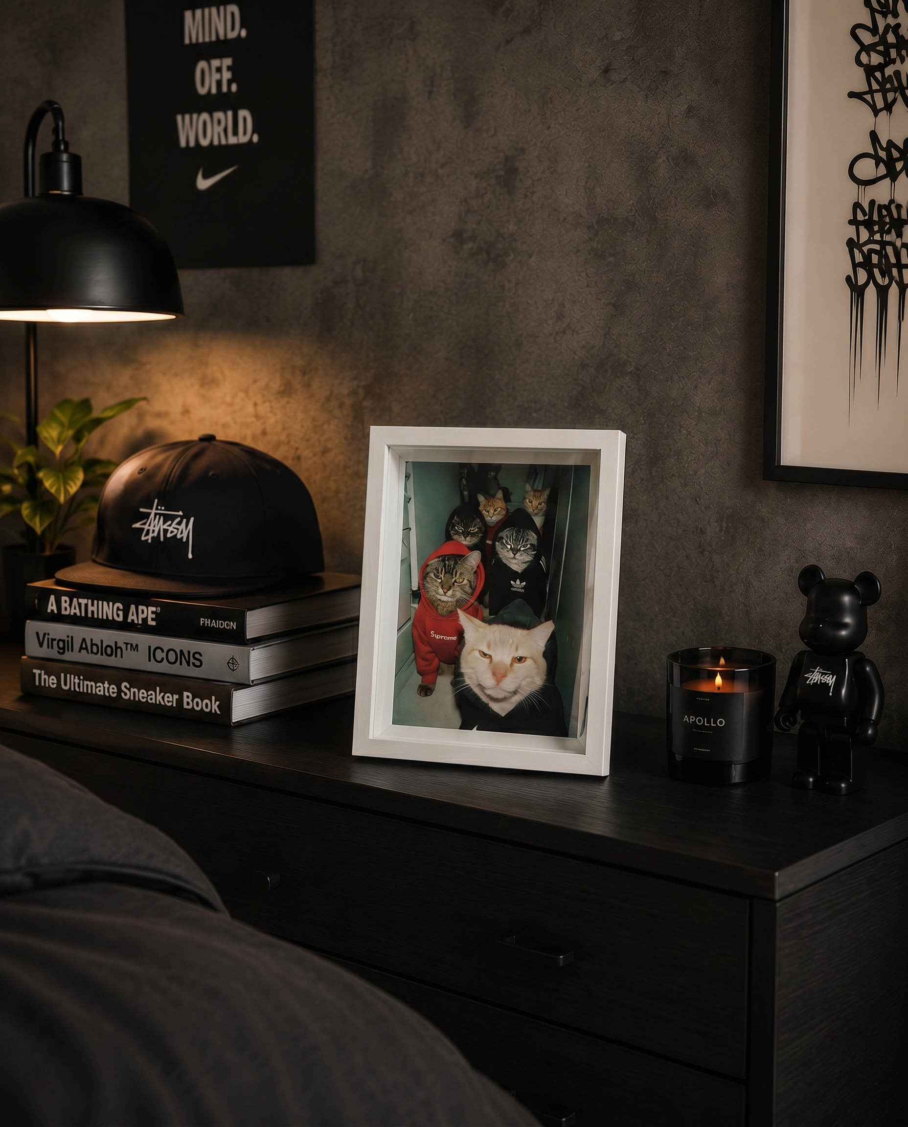 Cuadro Cat Gang Supreme Nike Adidas – Arte Urbano
