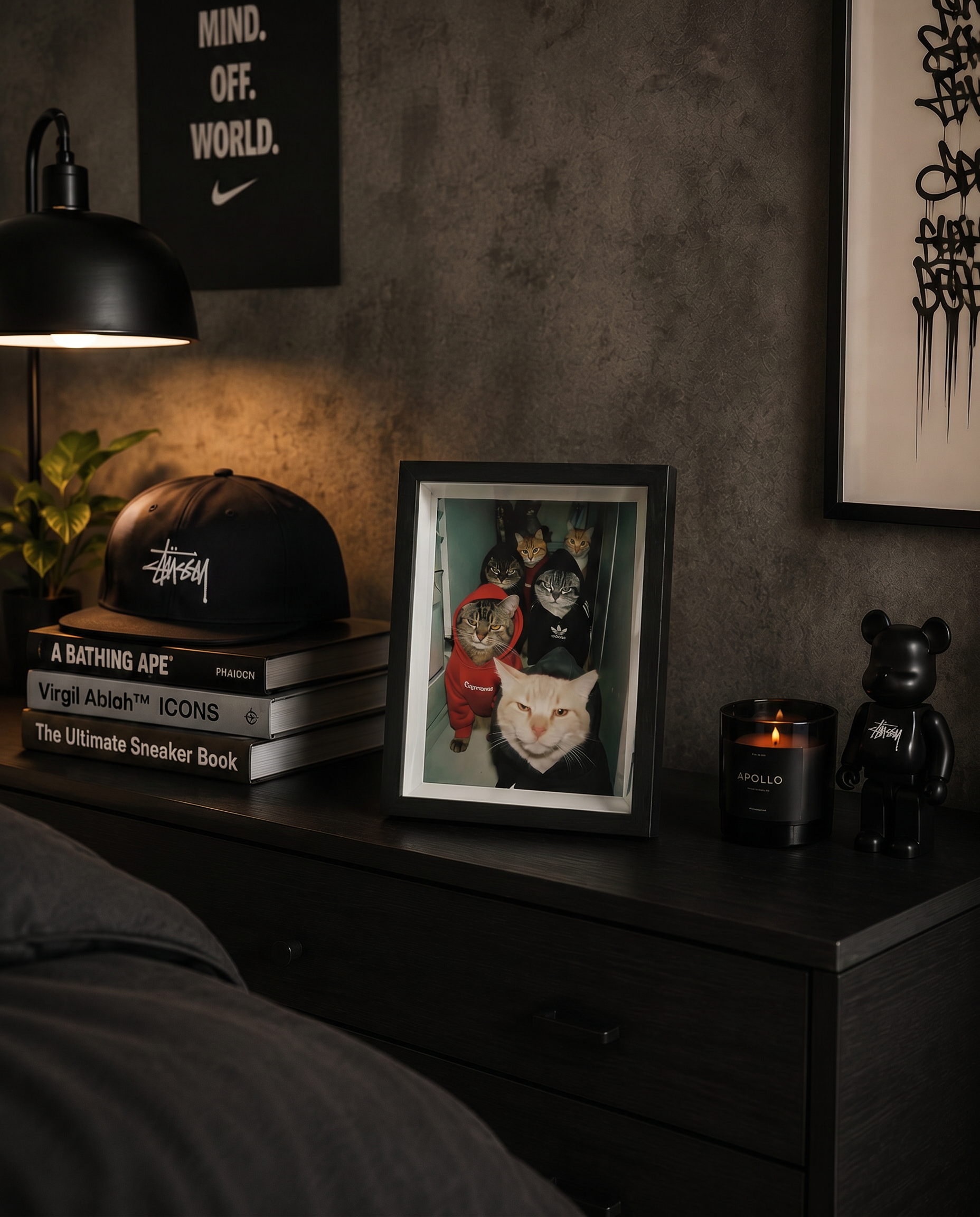 Cuadro Cat Gang Supreme Nike Adidas – Arte Urbano